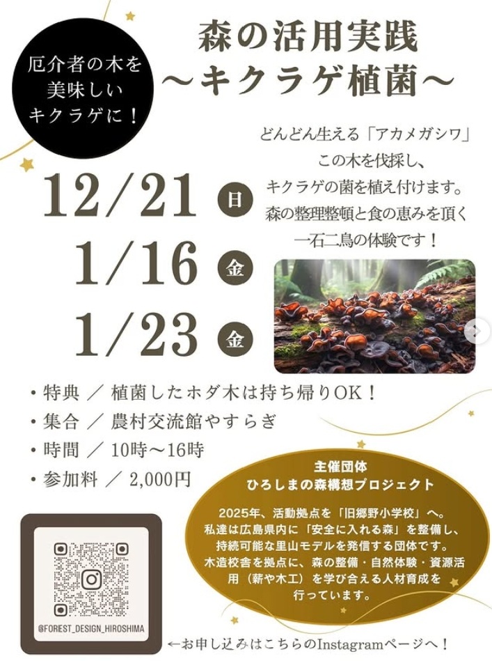 伐採と植菌ワークショップ〜アカメガシワを伐採してキクラゲ植菌〜